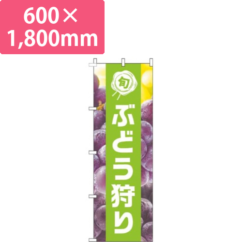 ぶどう狩り写真黄緑帯画像