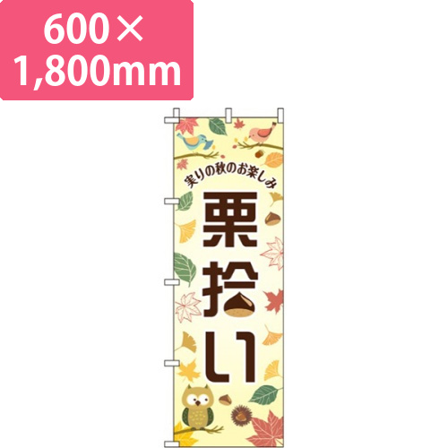 栗拾い実りの秋画像