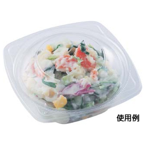 エフピコ 冷麺容器 APデリ-120-160 本体画像