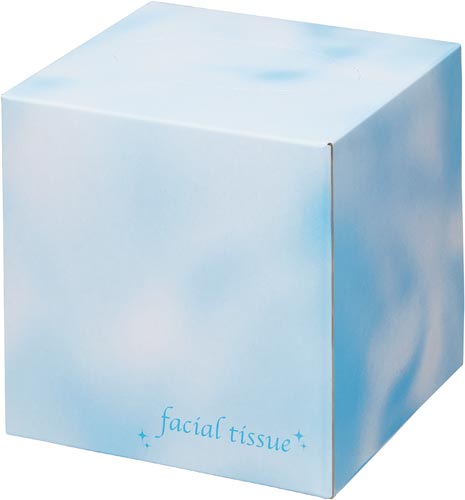 フェイシャルサイコロボックス　８０組×５