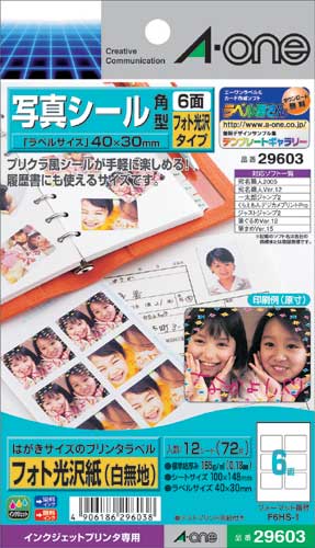 写真シール　ＩＪＰ　光沢紙　６面　１２枚画像