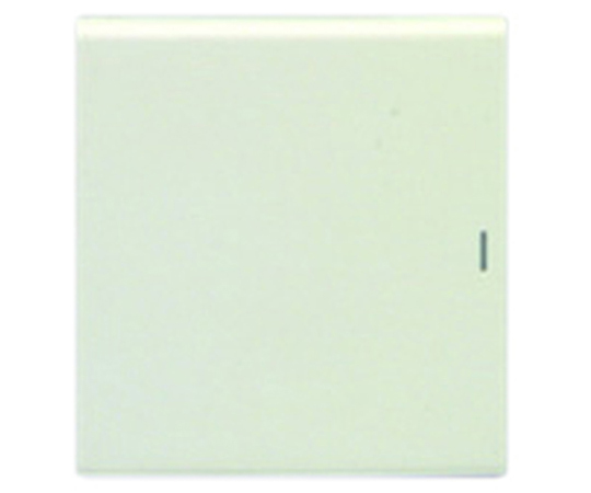 操作板　2個用（マークなし）　片切用