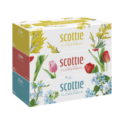 スコッティティシューフラワー２５０組３箱１８パック画像