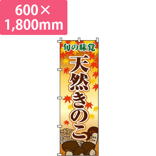 天然きのこ画像