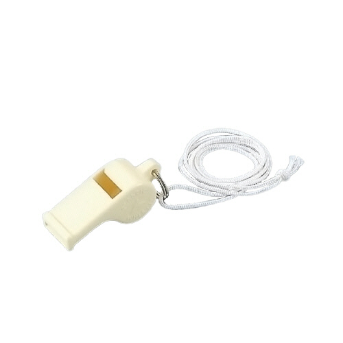 ﾎｲｯｽﾙ(ﾌﾟﾗｽﾁｯｸ製) ﾌﾟﾗｽﾁｯｸ 1個画像