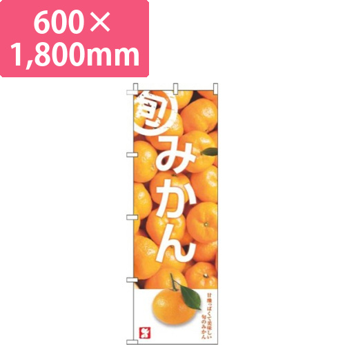 みかん旬写真画像