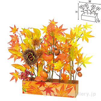 もみじ味覚プランター画像