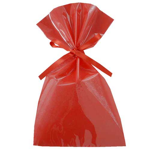 ソフトバッグクリア 2穴リボン巾着 S4 赤画像