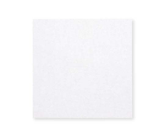 生キャラメルシート 100×100 白 500枚入画像