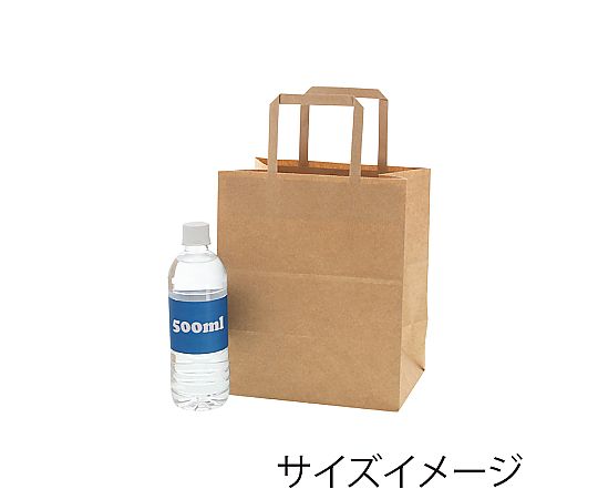 手提げ紙袋 Nフラットチャームバッグ 平手 220-2 未晒無地 50枚入 未晒無地の手提げ袋が平置きされている様子