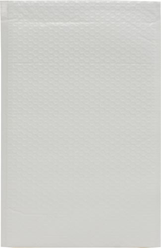 ＰＥクッション封筒　定形外規格内　２５枚入×４画像