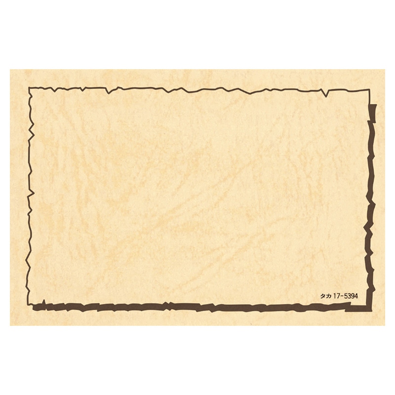 １７－５３９４　ショーカードＬ画像