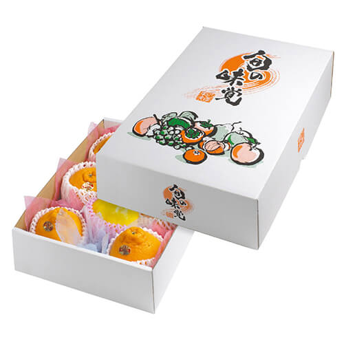 四季の果実　中Ｂ画像