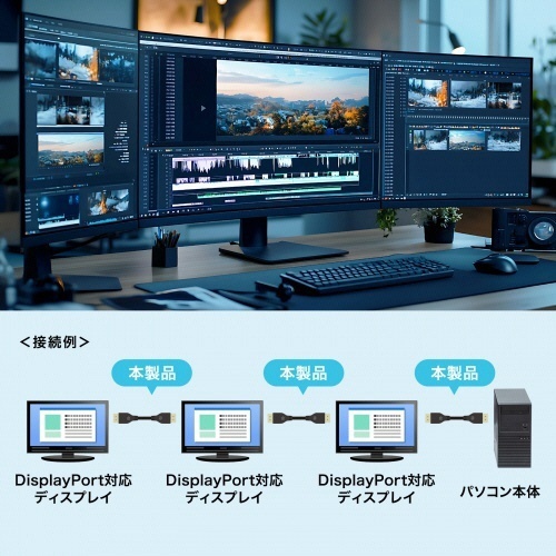 DisplayPortケーブル　ブラック　1m　1本 先端とコネクタ部分が鮮明に見える状態