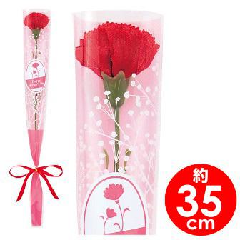 カーネーションかすみリボンラップ（中）画像