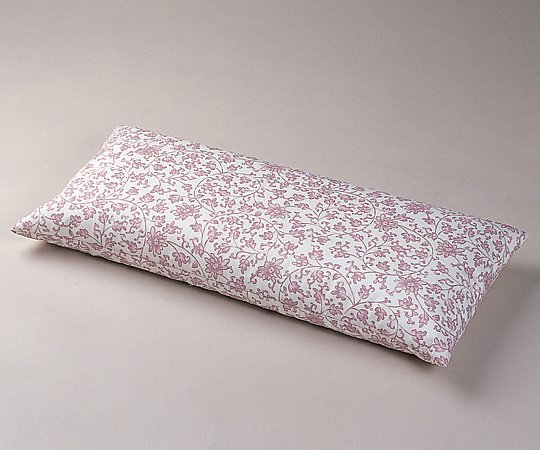 ふっくらビーズクッション　差し込みクッション画像