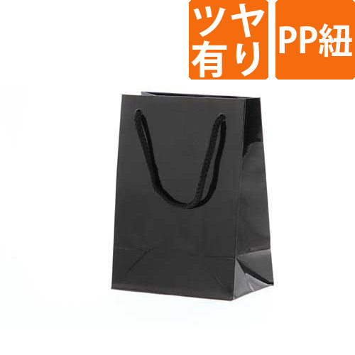 手提げ紙袋（黒 ツヤあり・PP紐・幅120×マチ70×高さ165mm）画像