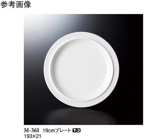 19cm プレート トカーニ 80個入