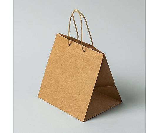 手提げ紙袋　アレンジバッグ　M　未晒無地　NEW　10枚画像
