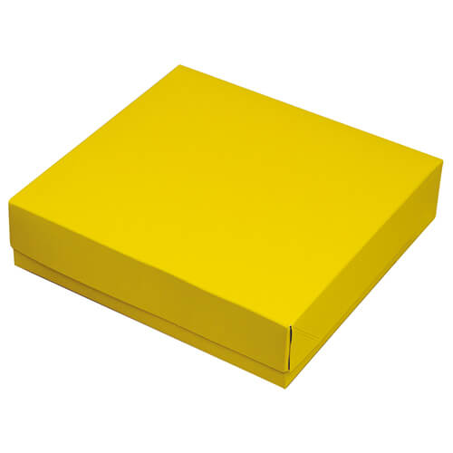 カラースクエア１６５　イエロー画像