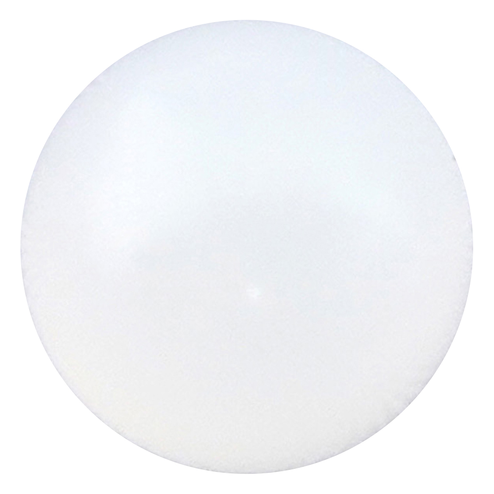 ナイロン球　φ4.0mm　100個入画像