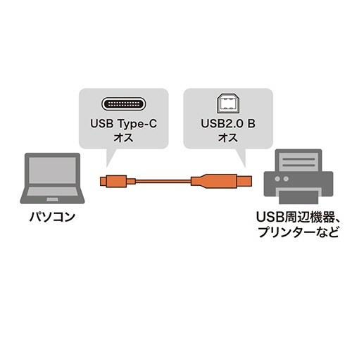 USB2.0　TypeC-Bケーブル　ブラック　1m(RoHS指令10準拠)　1本 コネクタ部分がクローズアップされている状態