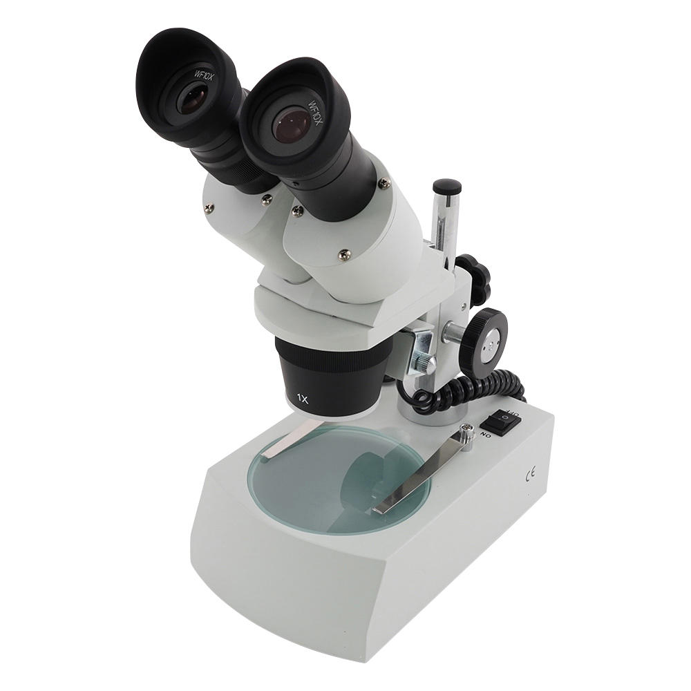 双眼実体顕微鏡　10×・20×