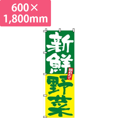 新鮮野菜採れたて画像