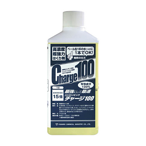 ﾁｬｰｼﾞ100 1本画像