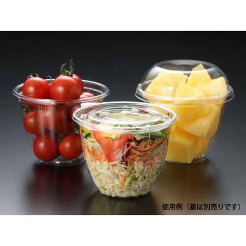 麺・スープ容器 パックスタイル PS 11OZサラダ 本体画像