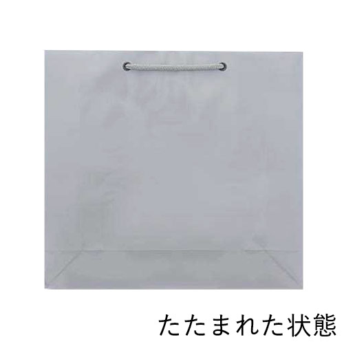 ツヤありPP加工！シルバーで持ち手紐付きの高級ギフトバッグ