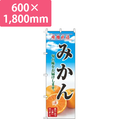 みかん青空明画像