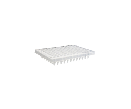 96ウェルPCRプレート 0.2ml ハーフスカート 白 1ケース（10個×5パック入）画像