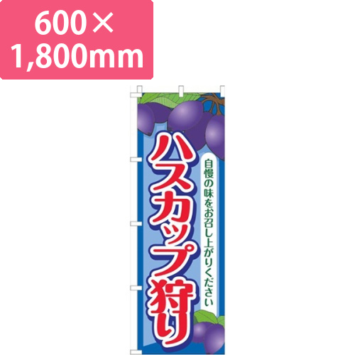 ハスカップ狩り青画像