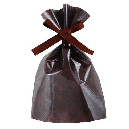 ソフトバッグクリア 2穴リボン巾着 S1 ダークブラウン画像