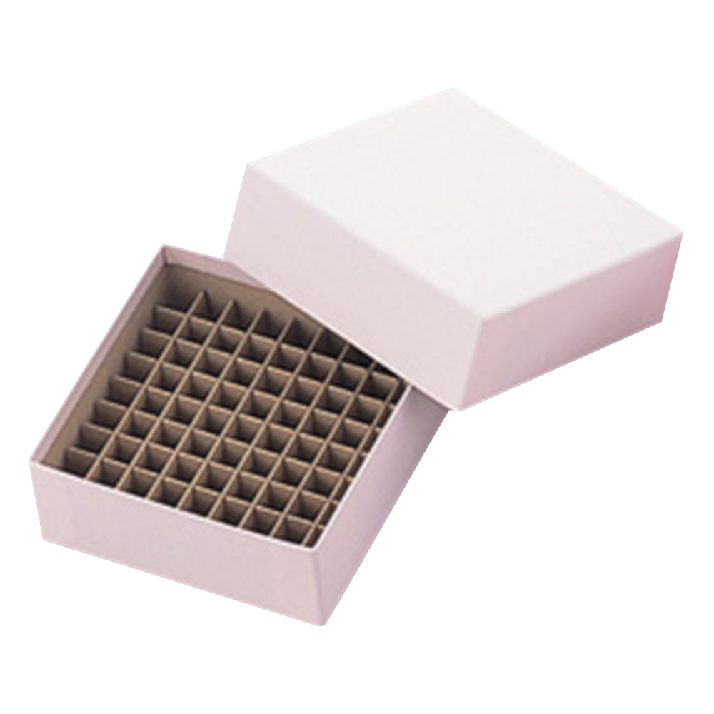 フリーズボックス 133×133×53mm 1箱（10個入）