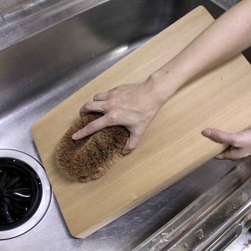 たわし　BQC大型パームタワシ 表面が見える状態で丸い形状のブラシ