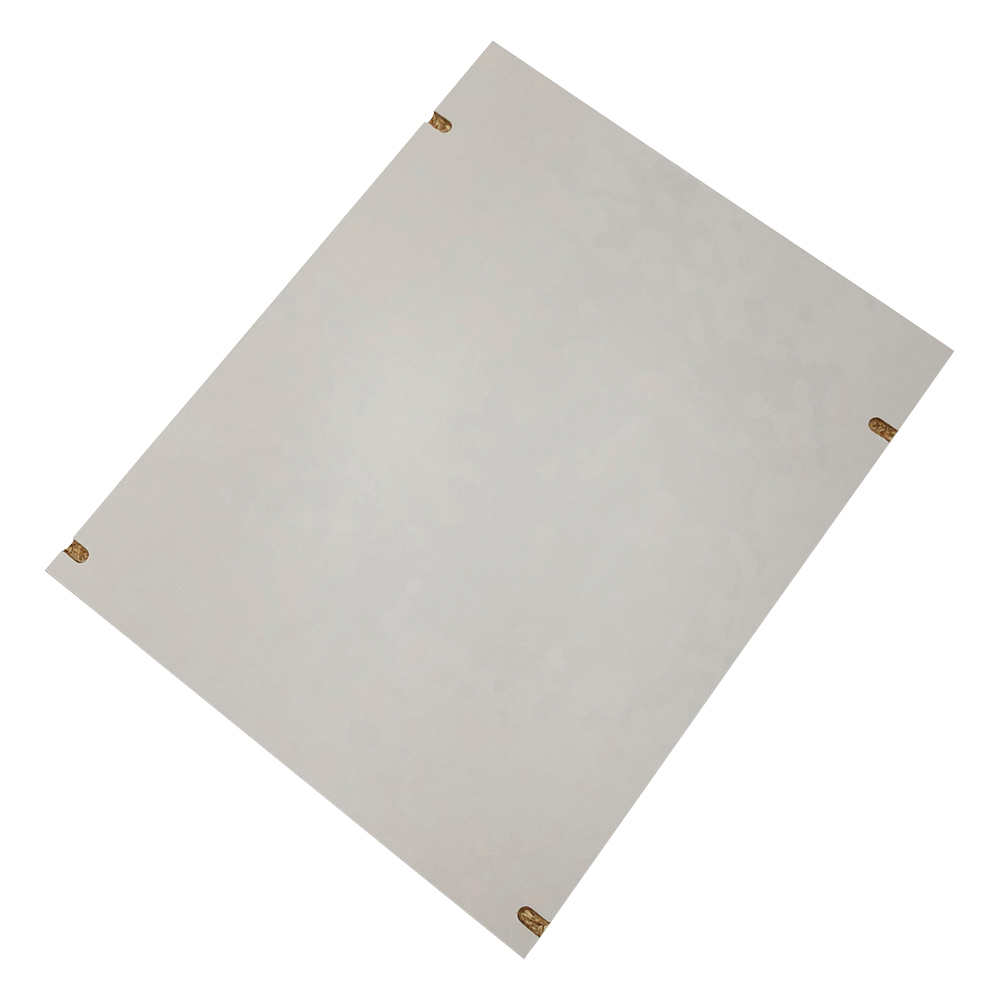 ダストアウトR（ガラス器具保管庫）　平棚板