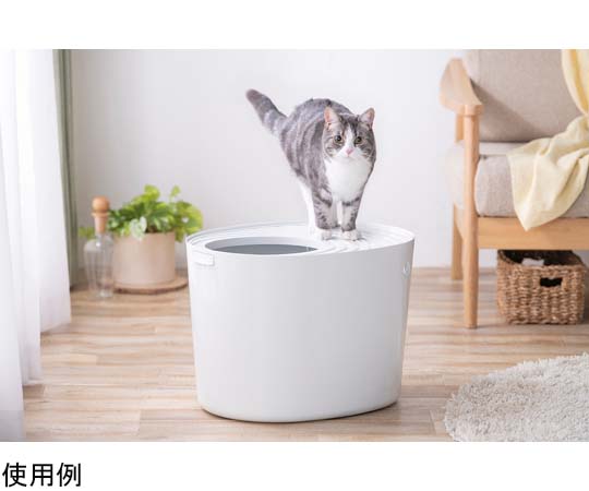 上から猫トイレ アイボリー 淡いアイボリーのトイレが上から見える状態で、四隅に優しい曲線が施されている。
