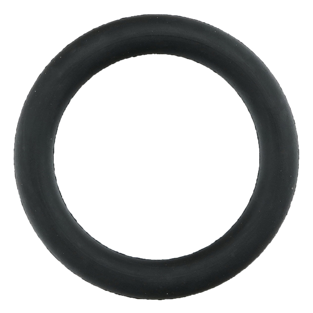 フッ素ゴムOリング（フロロプラス（TM））画像