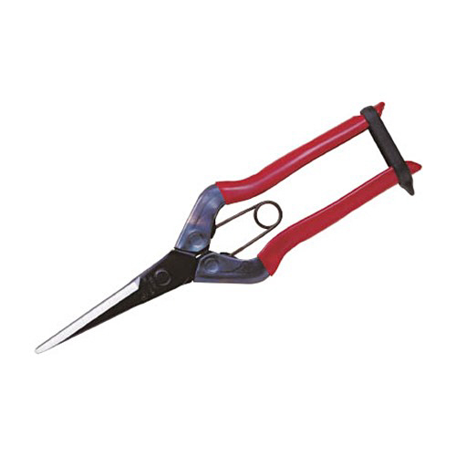 ﾁｶﾏｻ 芽切鋏ﾛﾝｸﾞ 1個画像