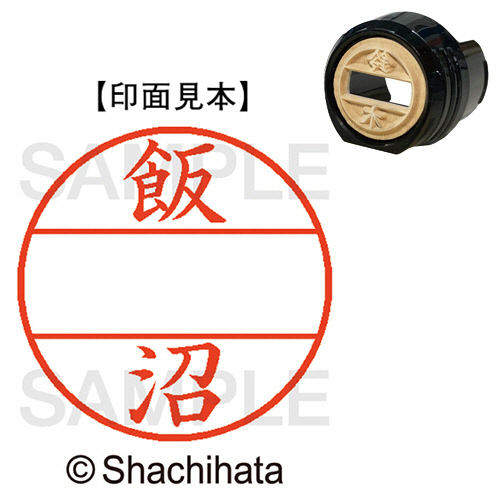 ﾃﾞｰﾀｰﾈｰﾑEX12号 ﾏｽﾀｰ部(印面) 既製 飯沼 1個画像