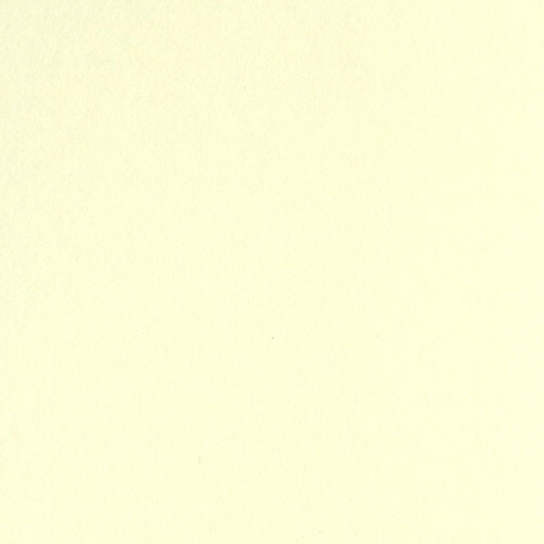 ﾆｭｰｶﾗｰR 八つ切 うすｸﾘｰﾑ 1ﾊﾟｯｸ(100枚)画像