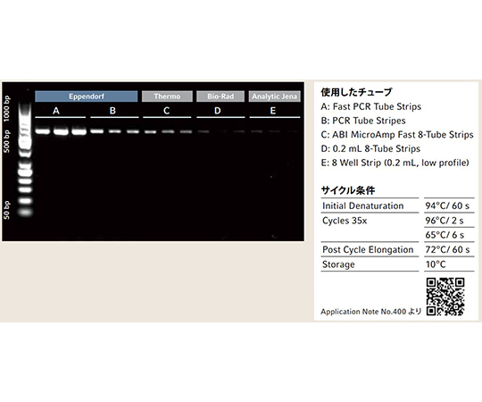 Fast PCRチューブストリップ 0.1mL ＆ フラットキャップストリップ 1式（120セット入） 透明なチューブが並んだ状態で、キャップ部分がしっかりと閉じられている。