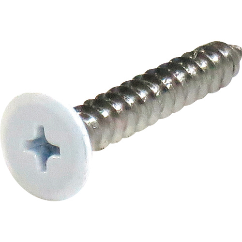 ﾈｼﾞｶﾗｰ ｽﾃﾝﾚｽ低頭ﾀｯﾋﾟﾝｸﾞ 3×12白 1ﾊﾟｯｸ(8本)画像