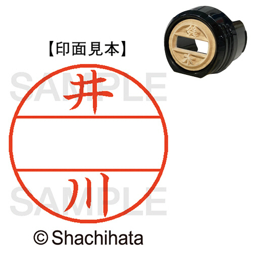 ﾃﾞｰﾀｰﾈｰﾑEX12号 ﾏｽﾀｰ部(印面) 既製 井川 1個画像