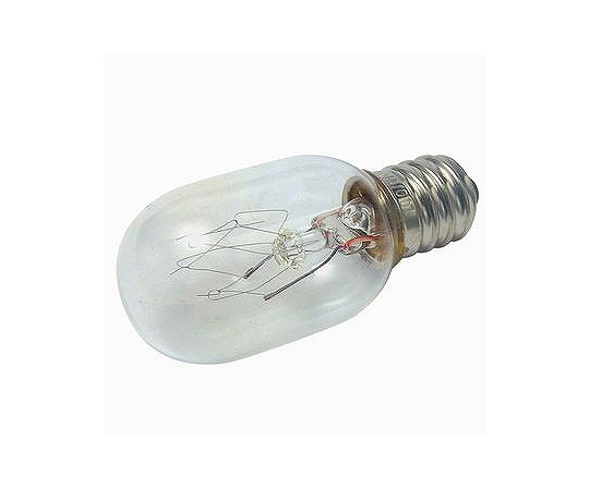 ナツメ球　110V/20W画像