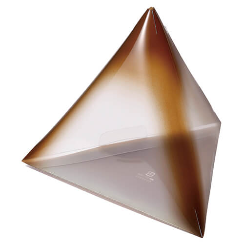 カラフルテトラ　ブラウン画像