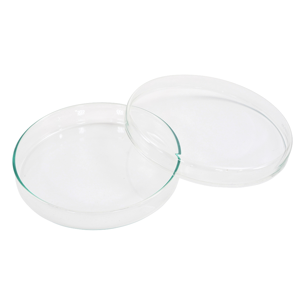 ペトリディッシュ STERIPLAN φ120×20mm画像