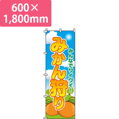 みかん狩りみんなでワイワイ！画像